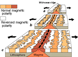 Snapshots of the ocean floor anomalies at different times with different magnetic polarities.